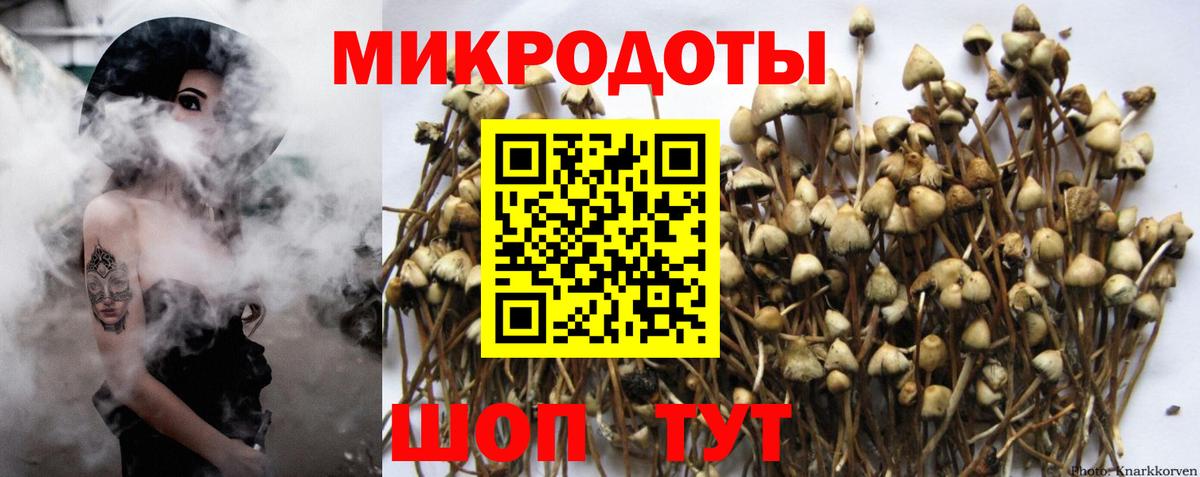 Псилоцибиновые грибы GOLDEN TEACHER Пыть-Ях